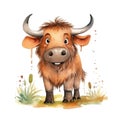 Safari Buffalo watercolor illustration, safari animals clipart Royalty Free Stock Photo