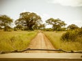 Safari drive along baobab in Tarangire National Park safari, Tanzania