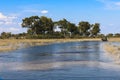 Safari drive in fkiided Okavango Delta, Botswanai Royalty Free Stock Photo