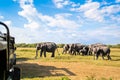 Safari with elephants. Sri Lanka, national park. 4x4 vehicle tourism. Nature game drive and wildlife tour for tourists. Royalty Free Stock Photo