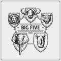 Safari emblem with Big Five animals. Lion, elephant, rhino, leopard and buffalo. Royalty Free Stock Photo
