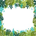 Safari frame. Green jungle floral frame. Tropical leaves, palm leaves, frame nature background. Green rainforest border Royalty Free Stock Photo