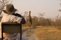 Safari with Giraffe