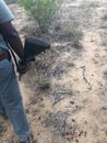 Safari guide with his rifle in the bush of South Africa