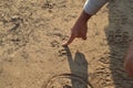 A Safari Guide Points To A Leopard Paw Print In The Sand, Zambia, Africa Royalty Free Stock Photo