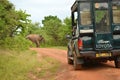 Safari Jeep at National park