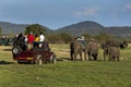 Safari jeeps and elephants at Minneriya National Park in Sri Lanka.