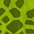 Safari Jungle Themed Seamless Background