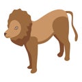 Safari lion icon isometric vector. Cute jungle king Royalty Free Stock Photo
