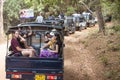 Safari. Many off-road jeep with visitors. Minneriya. Sri Lanka.