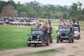 Safari. Many off-road jeeps with visitors. Minneriya. Sri Lanka.
