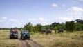 Safari in Minneriya national park, Sri Lanka