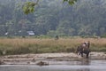 Safari in Nepal