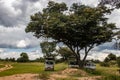 Safari open vehicle parked in deep shade under the tree