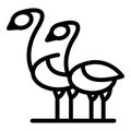 Safari ostrich icon, outline style