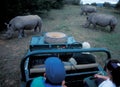 On safari in the private Game Reserve Shamwari Royalty Free Stock Photo