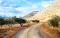 Safari road in Kenya Royalty Free Stock Photo