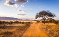 Safari road in Kenya Royalty Free Stock Photo