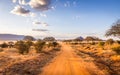 Safari road in Kenya Royalty Free Stock Photo