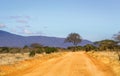 Safari road in Kenya Royalty Free Stock Photo