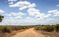 Safari road in Kenya Royalty Free Stock Photo