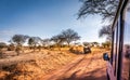 Safari road in Kenya Royalty Free Stock Photo