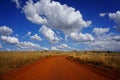 Safari Road near Johannesburg South Africa Royalty Free Stock Photo