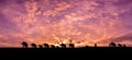 Safari.Silhouette of a herd elephants walking home in the evening, natural abundance, on sunset background.