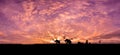 Safari.Silhouette of a herd elephants walking home in the evening, natural abundance, on sunset background.