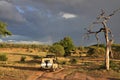 Safari in Tarangire National Park, Tanzania Royalty Free Stock Photo