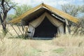 Safari tent - basic