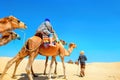 Safari tourism on camels. Sahara desert, Tunisia, North Africa Royalty Free Stock Photo