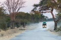 Safari tourist on game drive in Botswana Royalty Free Stock Photo