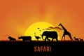 Safari