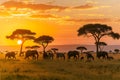 Safari Wildlife Silhouettes at African Sunset. Generative AI Royalty Free Stock Photo