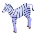 Safari zebra icon isometric vector. Africa animal