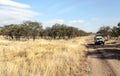 Safaris car Royalty Free Stock Photo