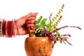 Safe ayurveda Royalty Free Stock Photo