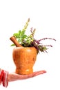 Safe ayurveda Royalty Free Stock Photo