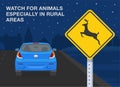 Safe car driving rules and tips. Watch for animals especially in rural areas at night. Night city road. Royalty Free Stock Photo