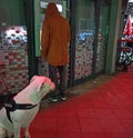 safe cash withdrawal during the night from the ATM with the protection of this dog