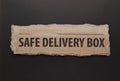 Safe Delivery Box