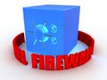 Safe and firewall