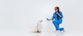 Portrait of young beautiful woman, veterinary examining a white poodle dog on white studio background.