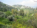 Safed through the green mountains