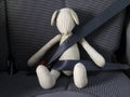 Safety belt Royalty Free Stock Photo