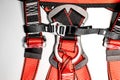 Safety belt for work at height with carabiner. Professional safety equipment for mountaineering and construction. Safety