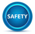 Safety Eyeball Blue Round Button Royalty Free Stock Photo