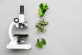 Safety food. Analysis. Greens near microscope on grey background top view copy space
