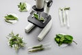 Safety food. Laboratory for food analysis. Herbs, greens under microscope on grey background top view Royalty Free Stock Photo